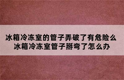 冰箱冷冻室的管子弄破了有危险么 冰箱冷冻室管子掰弯了怎么办